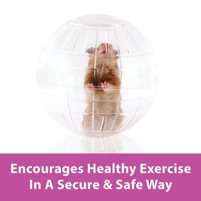 Image showing  Run-About Small Pet Exercise Ball, 7 in., Clear