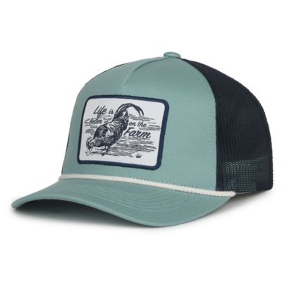 Image showing  Chick Days Life is Better on the Farm Hat