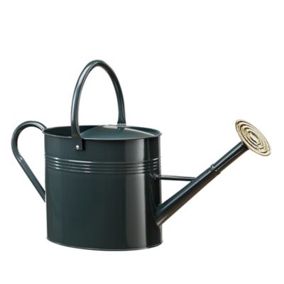 Image showing  2.3 gal. Metal Watering Can