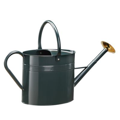 Image showing  2.3 gal. Metal Watering Can