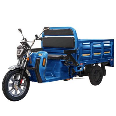 Massimo Cargo Max E-Trike, Blue