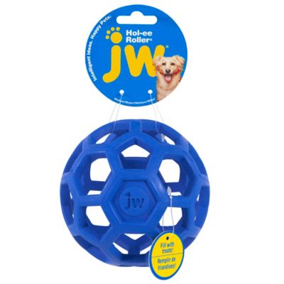 JW Pet Medium Hol-EE Roller Dog Toy