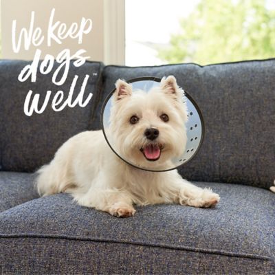 Image showing 6 th Remedy+Recovery E-Collar Dog Collar, Medium, Clear