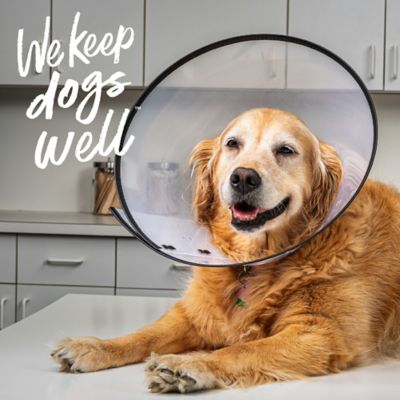 Image showing 6 th Remedy+Recovery E-Collar Dog Collar, X-Large, Clear