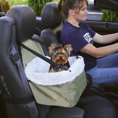 Image showing  Small Dog Car Seat Booster, Perfect for Small Pets up to 10 lbs.