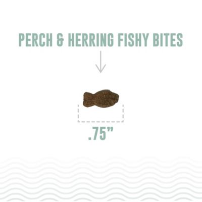 Image showing  Fishy Bites: Perch & Herring - 2 oz. - Dog Treats