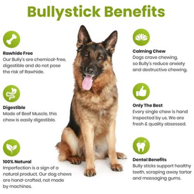 Image showing  6 in. Bully Sticks - Standard 5 ct. - Dog Treat
