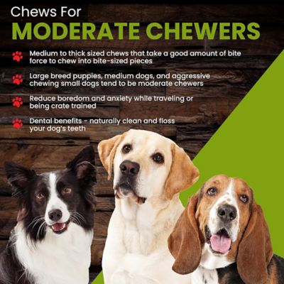 Image showing  6 in. Bully Sticks - Thin 10 ct. - Dog Treat