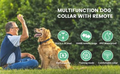 Image showing  Ellipse LED 1-to-3 Dog 550-Yard Range 16-Level Vibration Sound and Stimulation Training Dog Collar