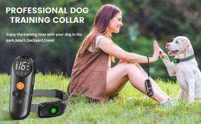 Image showing  Ellipse LED 1-to-3 Dog 550-Yard Range 16-Level Vibration Sound and Stimulation Training Dog Collar