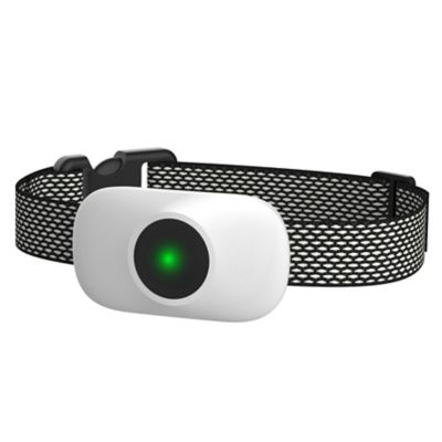 Pet Life Ellipse LED 1-to-3 Dog 550-Yard Range 16-Level Vibration Sound and Stimulation Training Dog Collar Additional Receiver