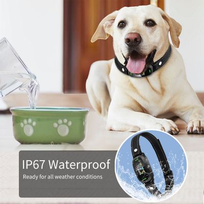 Image showing  Barkomatic LED 5-Level Sensitivity and 6-Step Automated Beep Vibration and Stimulation Anti-Bark Dog Collar