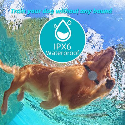 Image showing  Howless LED 1-to-2 Dog 1,200 Foot Range 7-Level Vibration and Sound Training Dog Collar