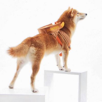 Image showing  Lion Designer Large-Pocketed Velcro Dog Backpack and Harness