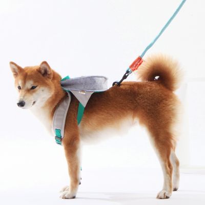 Image showing  Owl Designer Large-Pocketed Velcro Dog Backpack and Harness