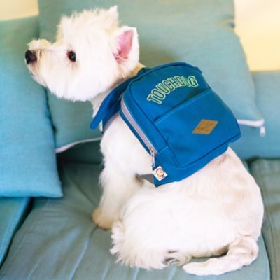 Image showing  Navy Large-Pocketed Zippered Duffle Dog Backpack and Harness