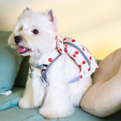 Image showing  Polka Dot Large Pocketed Zippered Duffle Dog Backpack and Harness