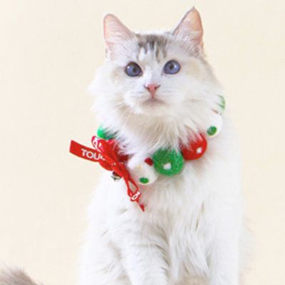 Image showing  Pom-Pom Patterned Designer Cat Neck Collar with Chime Bell