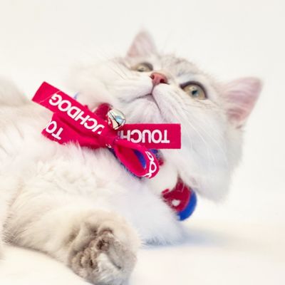Image showing 2 th TouchCat Pom-Pom Patterned Designer Cat Neck Collar with Chime Bell