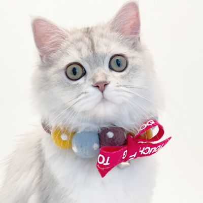Image showing 1 th TouchCat Pom-Pom Patterned Designer Cat Neck Collar with Chime Bell
