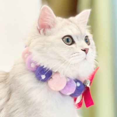 Image showing 2 th TouchCat Pom-Pom Patterned Designer Cat Neck Collar with Chime Bell