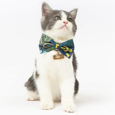 Image showing  Safari Patterned Designer Cat Collar with Bow