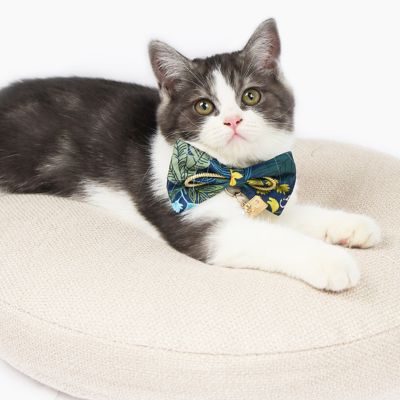 Image showing  Safari Patterned Designer Cat Collar with Bow