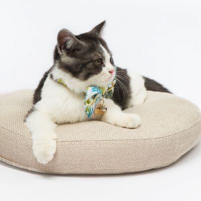 Image showing  Tropical Patterned Designer Cat Collar with Bow