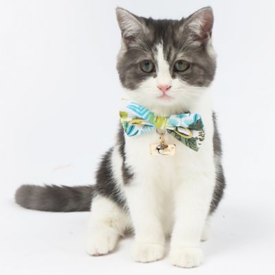 Image showing  Tropical Patterned Designer Cat Collar with Bow