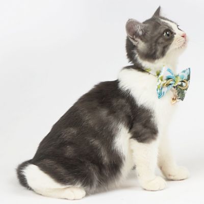 Image showing  Tropical Patterned Designer Cat Collar with Bow
