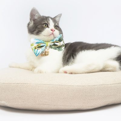 Image showing  Tropical Patterned Designer Cat Collar with Bow