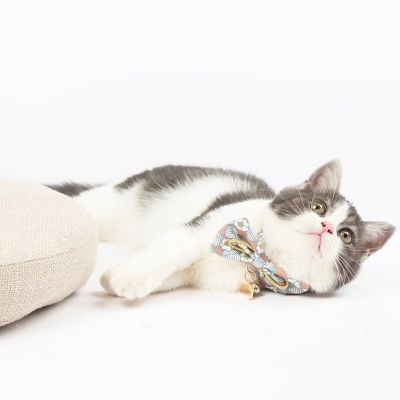 Image showing  Floral Patterned Designer Cat Collar with Bow