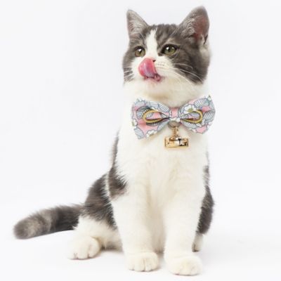 Image showing  Floral Patterned Designer Cat Collar with Bow