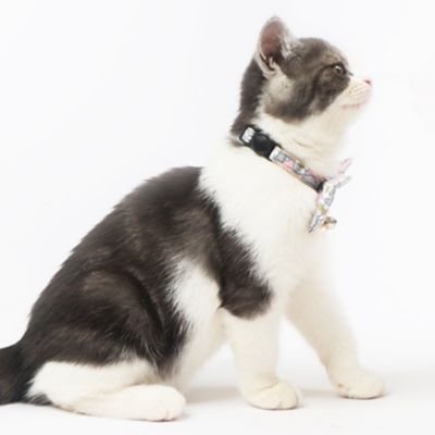 Image showing  Floral Patterned Designer Cat Collar with Bow
