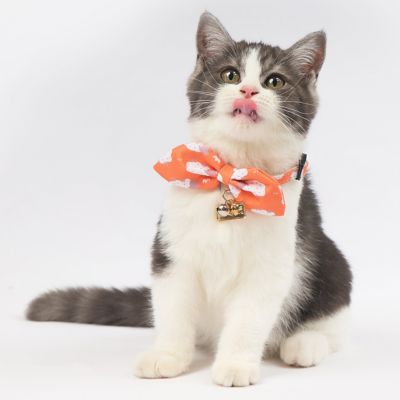 Image showing  Shepherd Patterned Designer Cat Collar with Bow