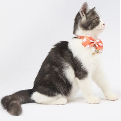 Image showing  Shepherd Patterned Designer Cat Collar with Bow