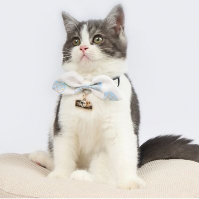 Image showing  Pineapple Patterned Designer Cat Collar with Bow