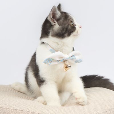 Image showing  Pineapple Patterned Designer Cat Collar with Bow