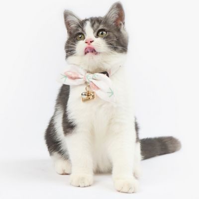 Image showing  Pineapple Patterned Designer Cat Collar with Bow