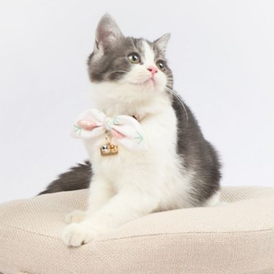 Image showing  Pineapple Patterned Designer Cat Collar with Bow