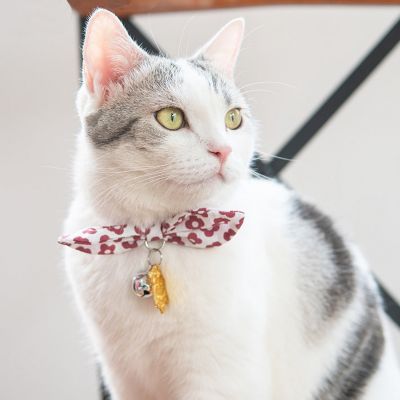 Image showing  Miss-Daisy Designer Cat Collar with large Bowtie and Bell Charm