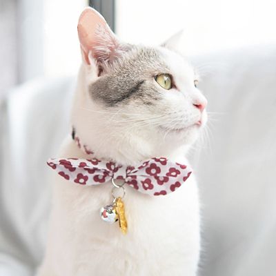 Image showing  Miss-Daisy Designer Cat Collar with large Bowtie and Bell Charm