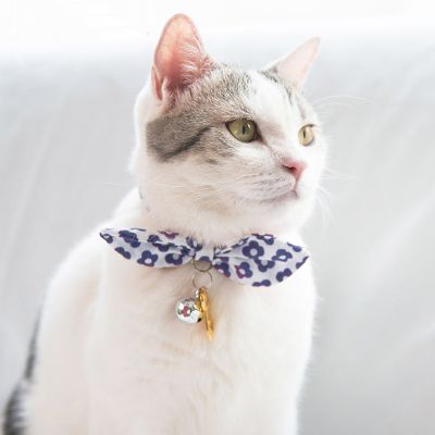 Image showing  Miss-Daisy Designer Cat Collar with large Bowtie and Bell Charm