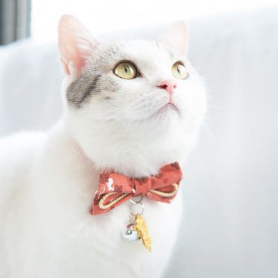 Image showing  Glampurr Elegant Fashion Cat Collar with large Bowtie and Bell Charm