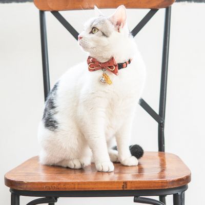 Image showing  Glampurr Elegant Fashion Cat Collar with large Bowtie and Bell Charm