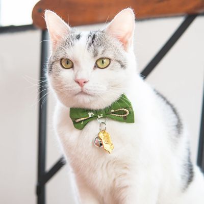 Image showing  Glampurr Elegant Fashion Cat Collar with large Bowtie and Bell Charm