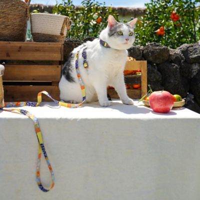 Image showing  Multi-Shape Patterned Fashion Cat Harness and Leash