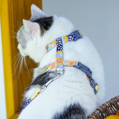 Image showing  Multi-Shape Patterned Fashion Cat Harness and Leash