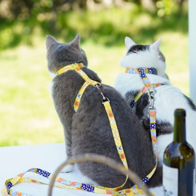 Image showing  Multi-Shape Patterned Fashion Cat Harness and Leash