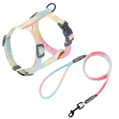 TouchCat Rainbow Patterned Fashion Cat Harness and Leash